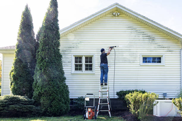 Professional Pressure Washing in Spanish Springs, NV